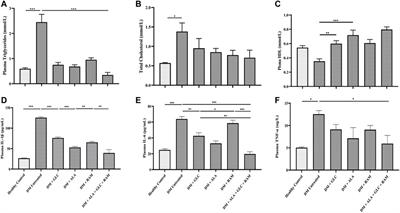 Combination Therapy of Alpha-Lipoic Acid, Gliclazide and Ramipril Protects Against Development of Diabetic Cardiomyopathy via Inhibition of TGF-β/Smad Pathway